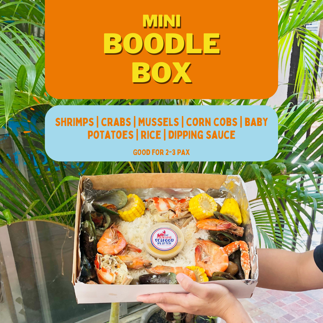 Mini Boodle Box